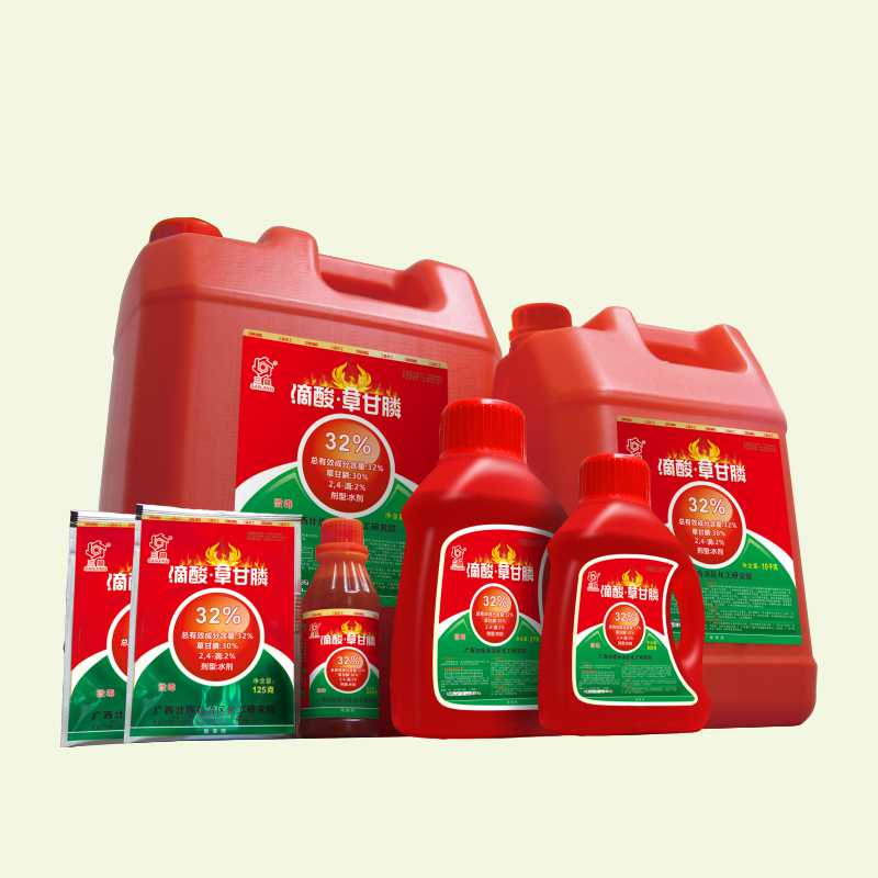 W020241226409513414800