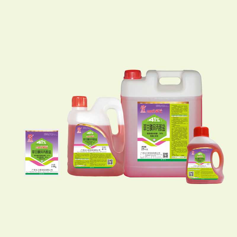 W020241226410646447594